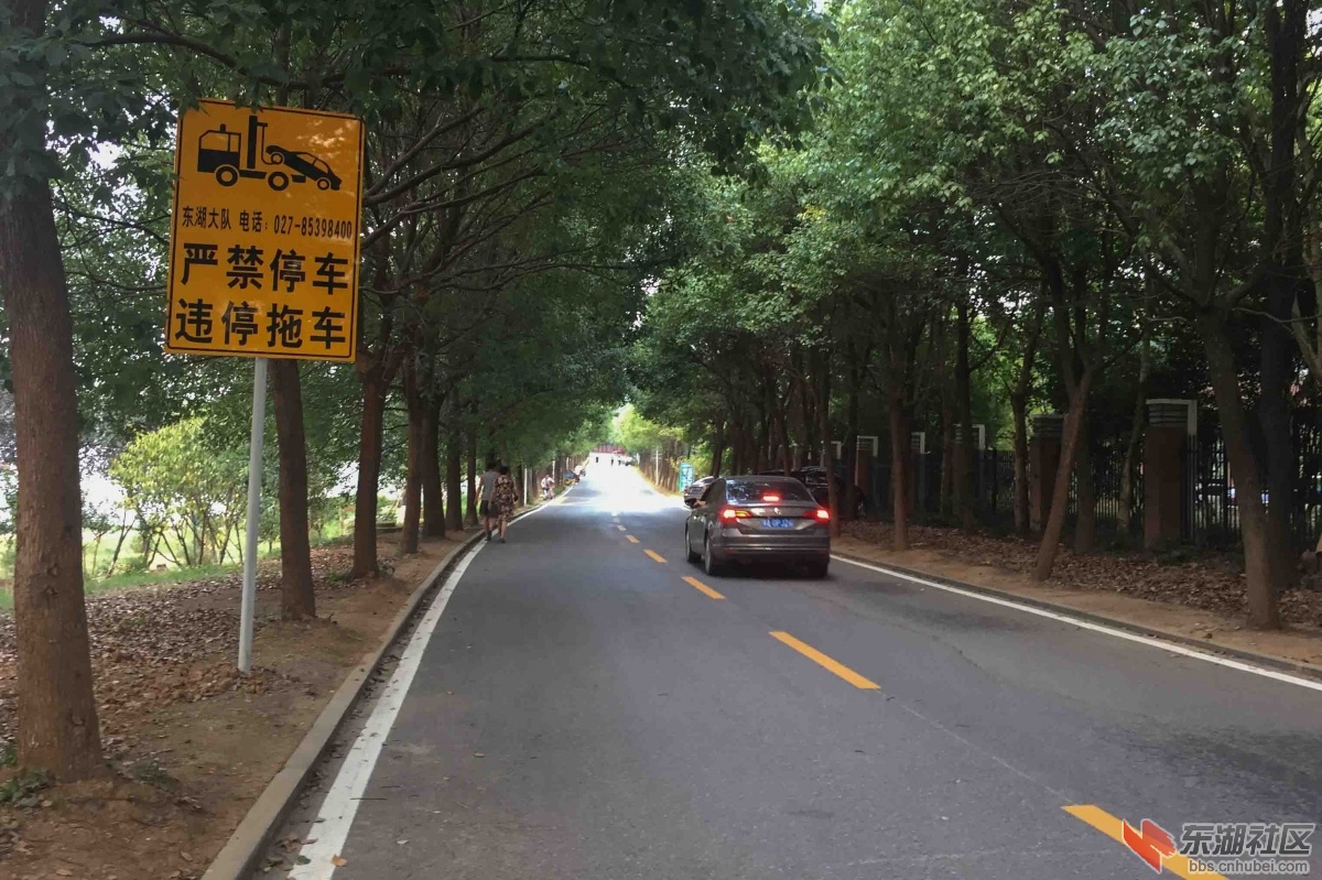 3.通往东湖绿道吹笛路段之二.JPG