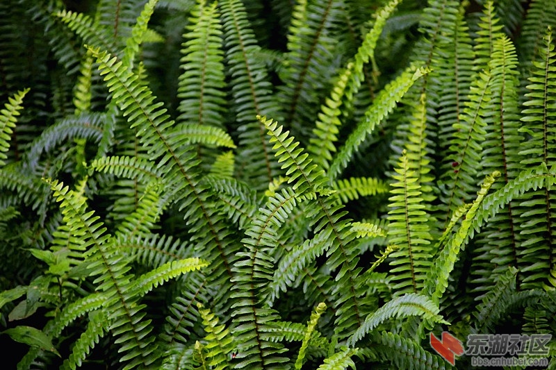 psb (10)_副本.jpg