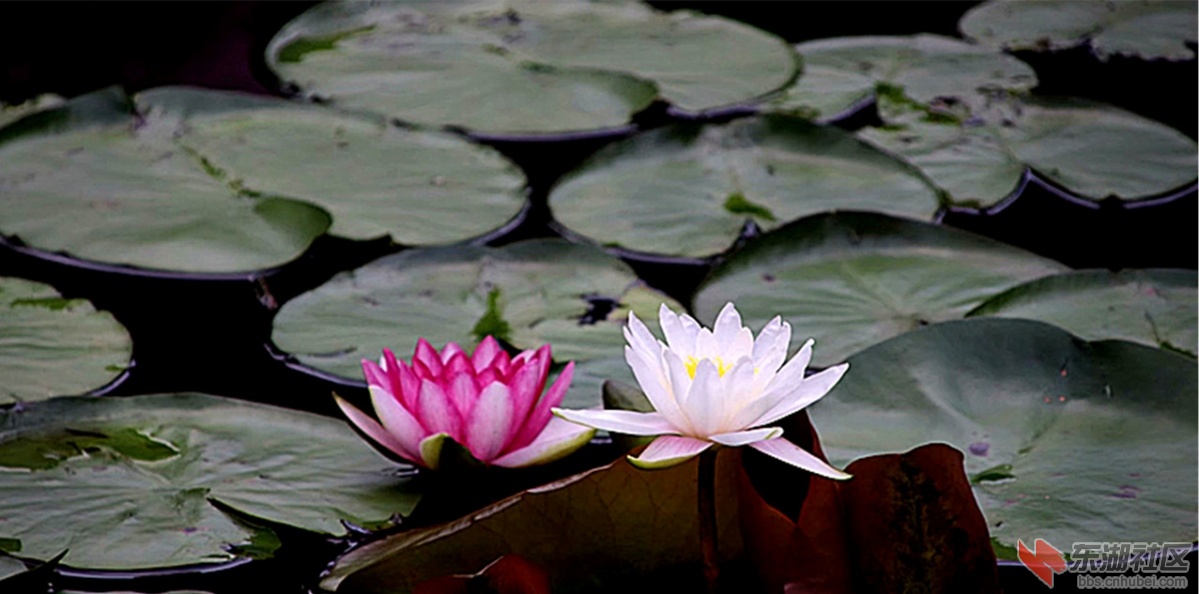 psb (12)_副本.jpg