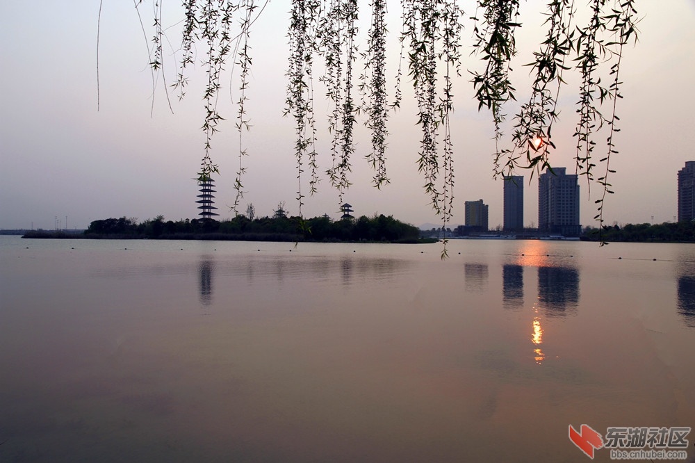 暨阳湖公园.jpg