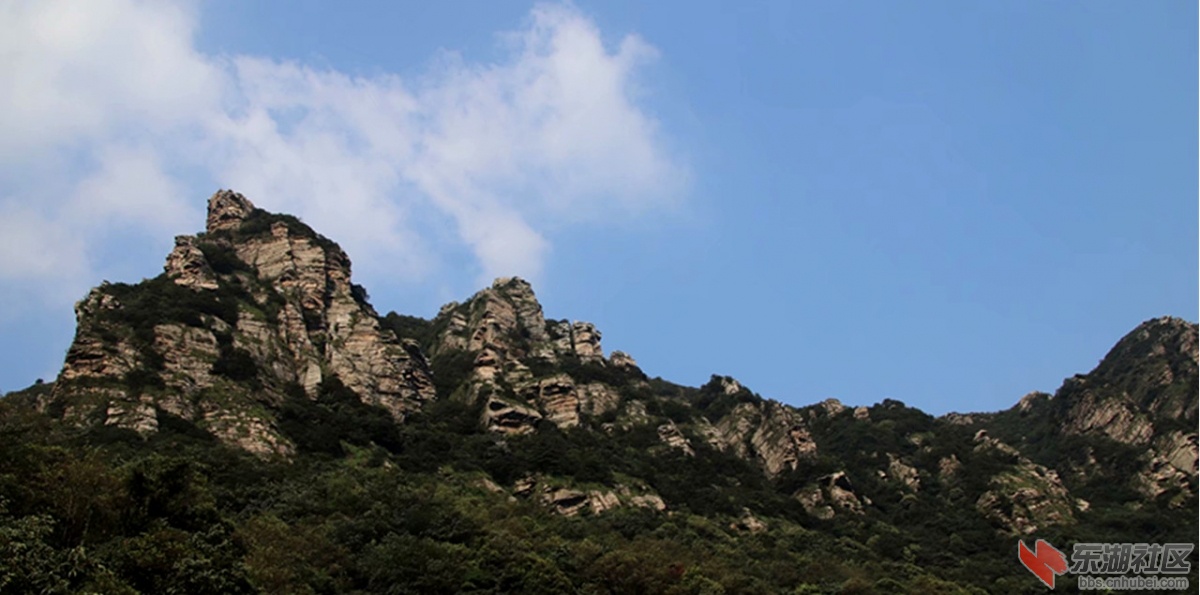 psb (40)_副本.jpg