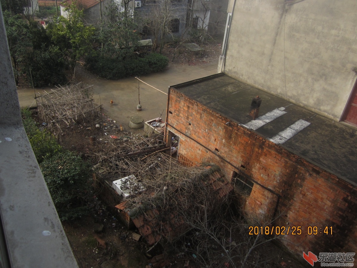 IMG_0011.JPG
