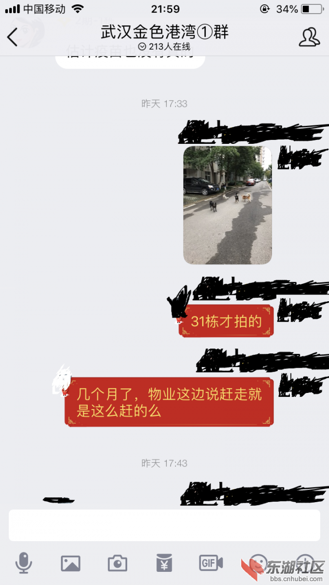 IMG_4353.PNG