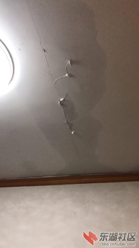 201808_ejsCEKmFojkVC3cjalnyDMLs7CBzARFU.jpg