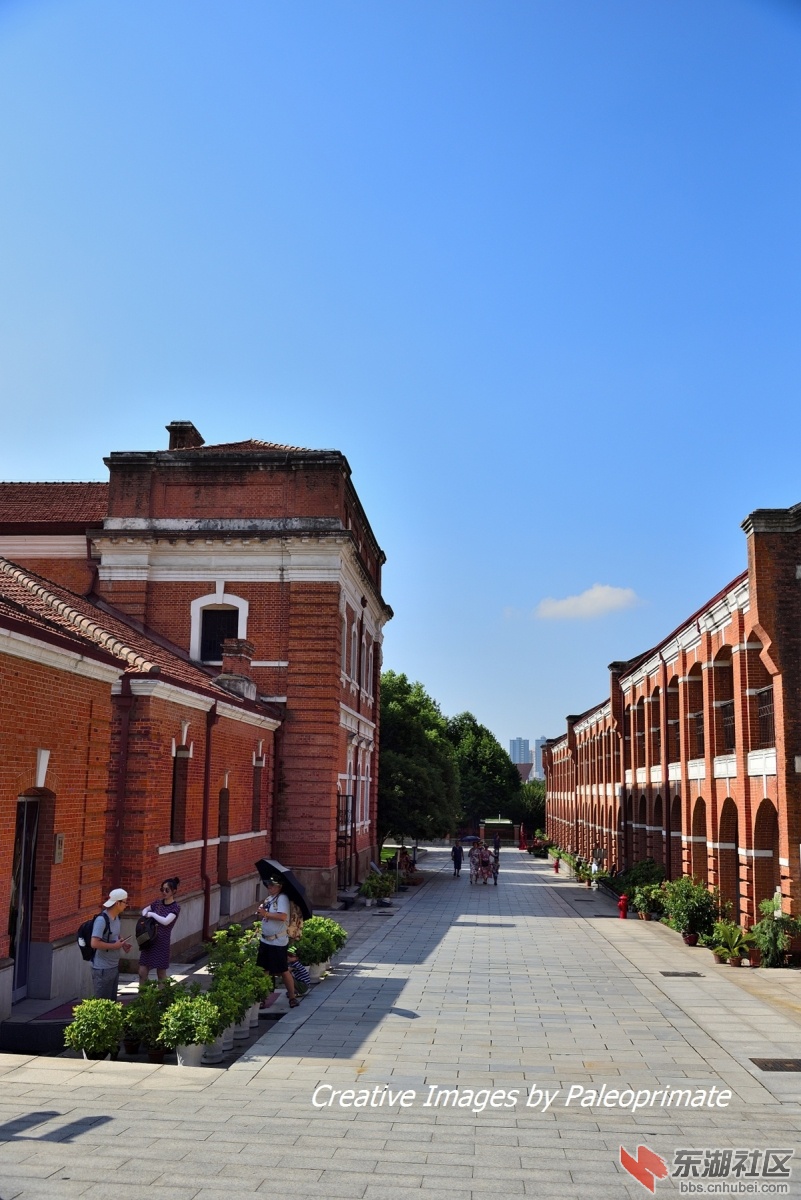_DSC8054.jpg