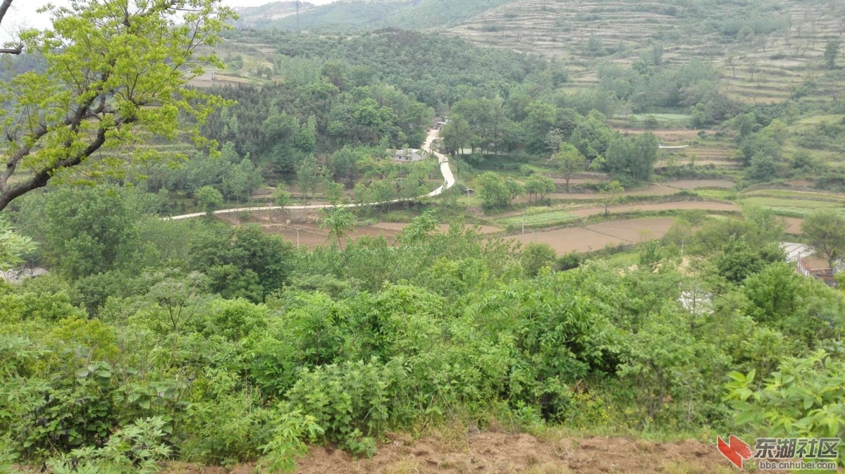 微信图片_20180825135326.jpg