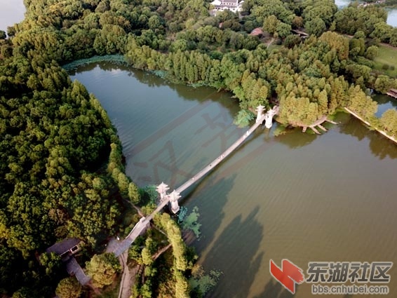 DJI_0005 - 副本.JPG