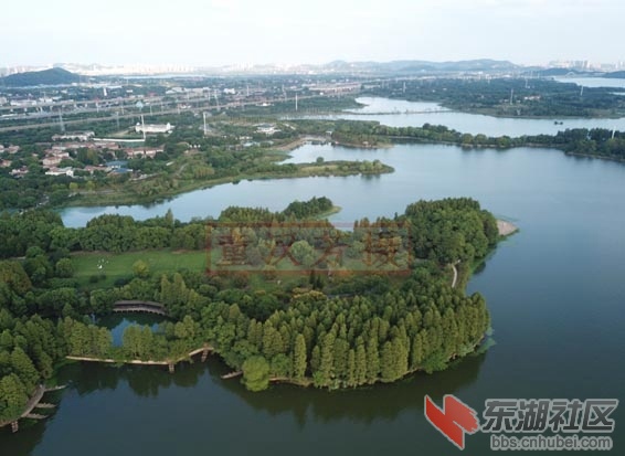 DJI_0017 - 副本.JPG