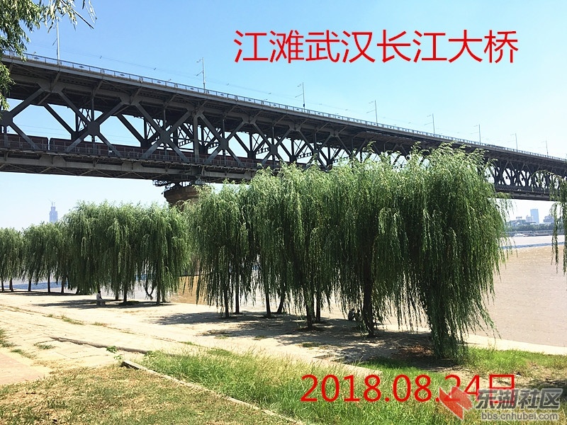 IMG_3338_副本.jpg