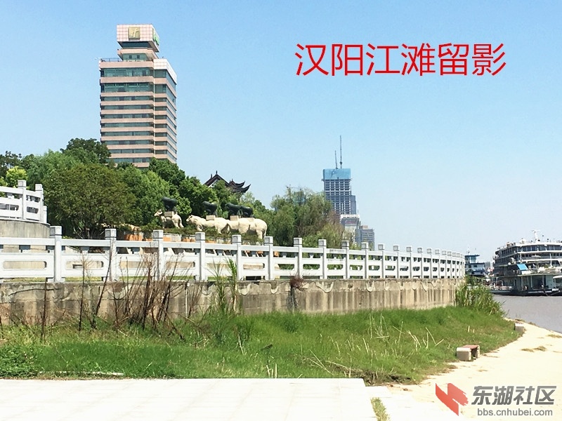 IMG_3377_副本.jpg