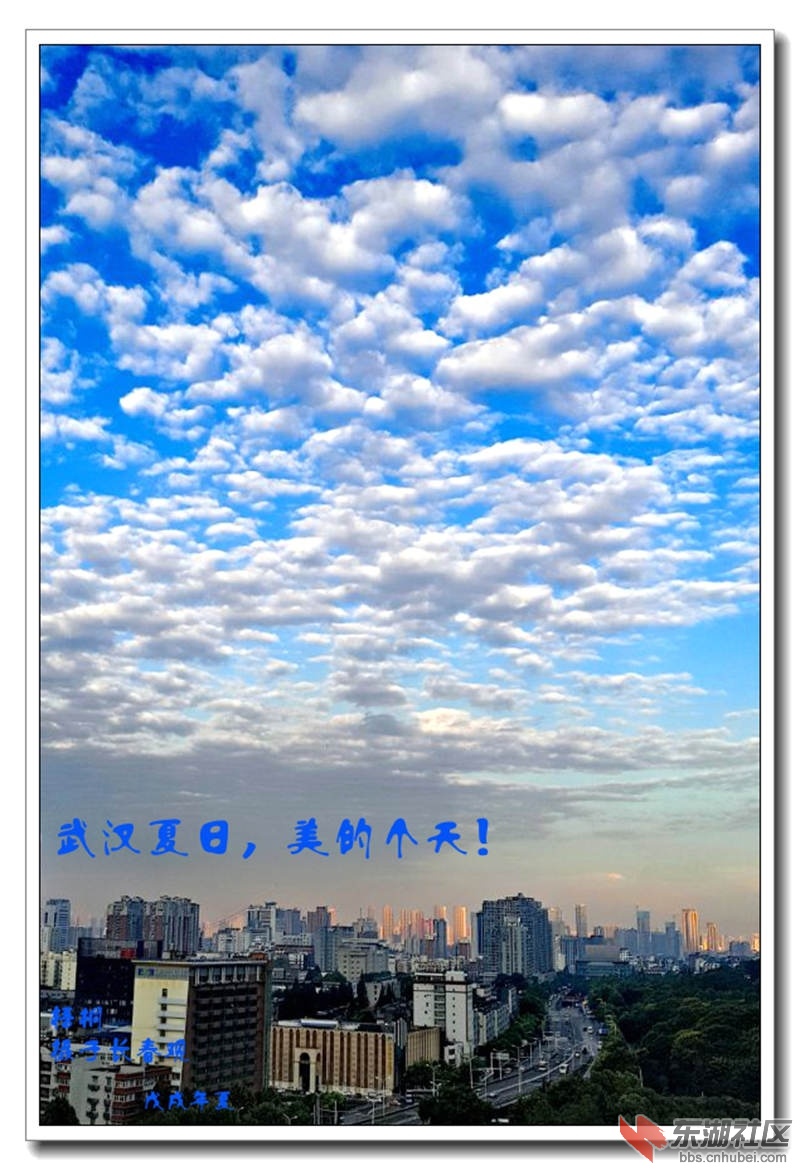 qq图片20180831105003_副本_副本.jpg