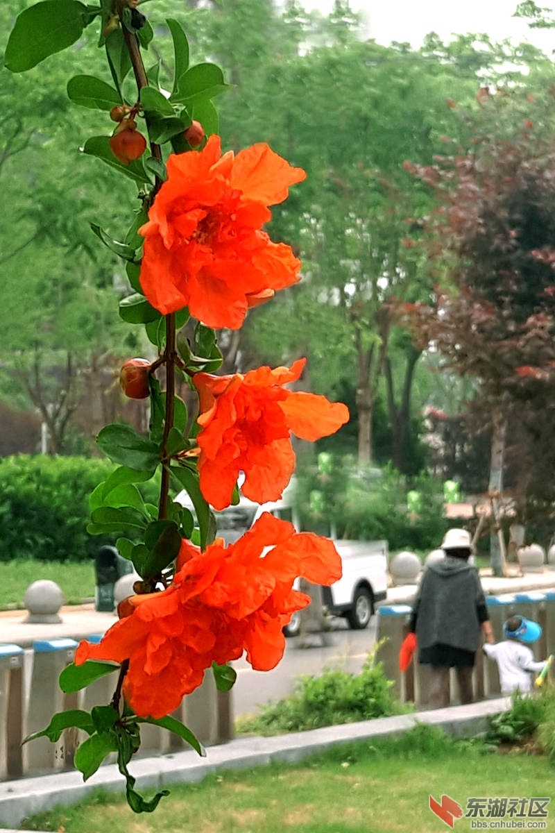 P80426-110536_副本.jpg