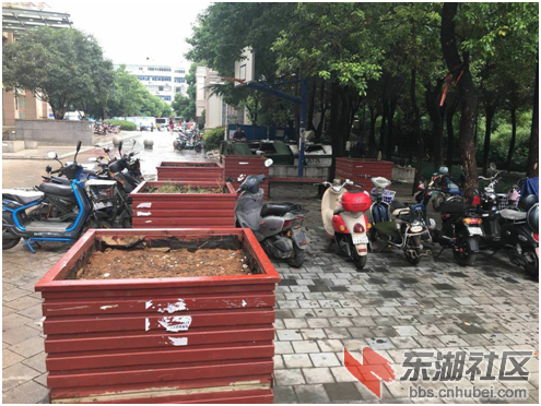 整治后照片
