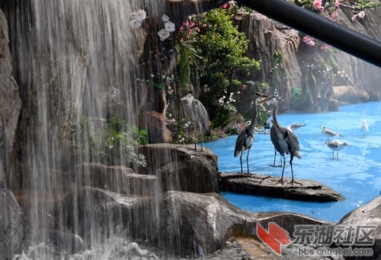 DSC_2046 - 副本.JPG