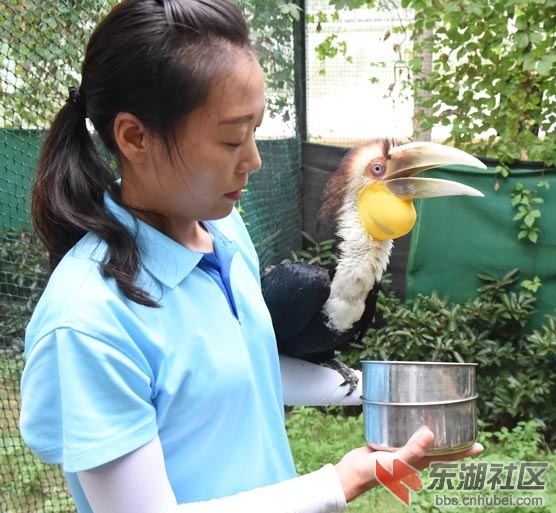 DSC_2165 - 副本.JPG
