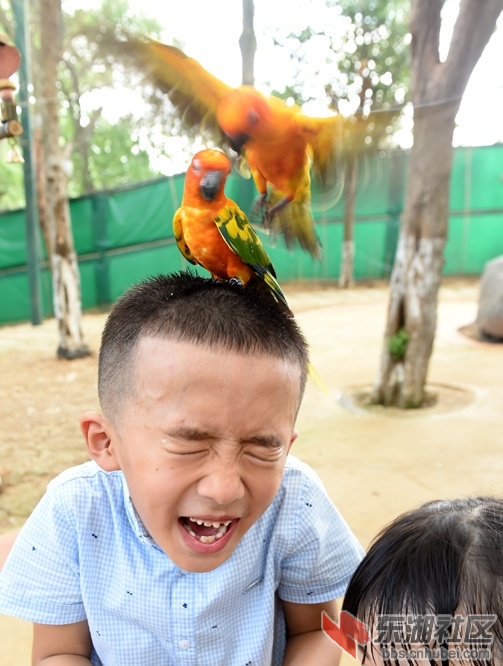 DSC_3097 - 副本.JPG