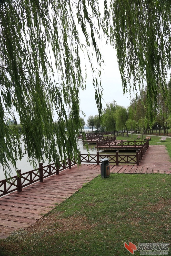 0L0B3858.JPG