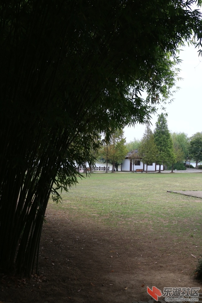 0L0B3892.JPG