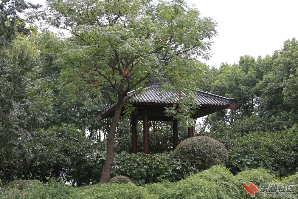 0L0B3905.JPG