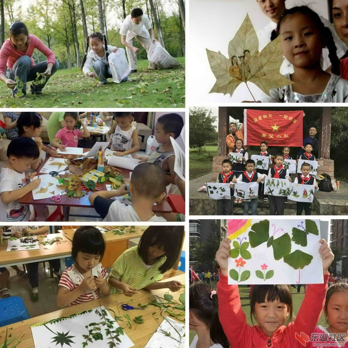树叶画.jpg