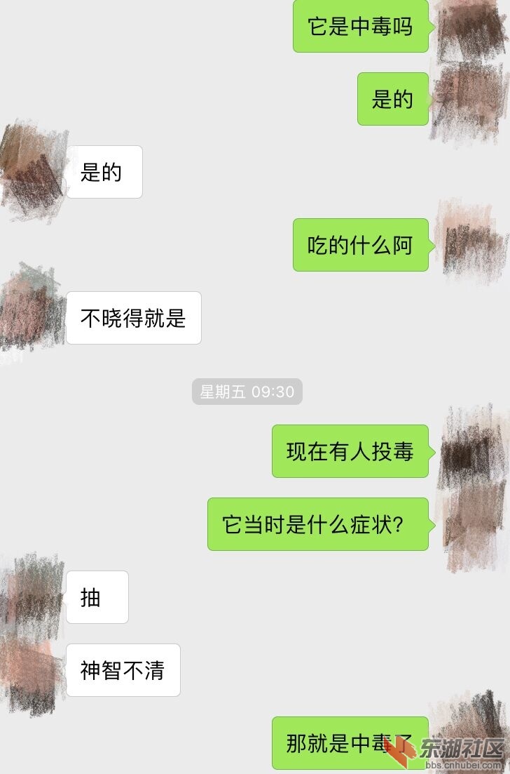 qq图片20180917171527.jpg