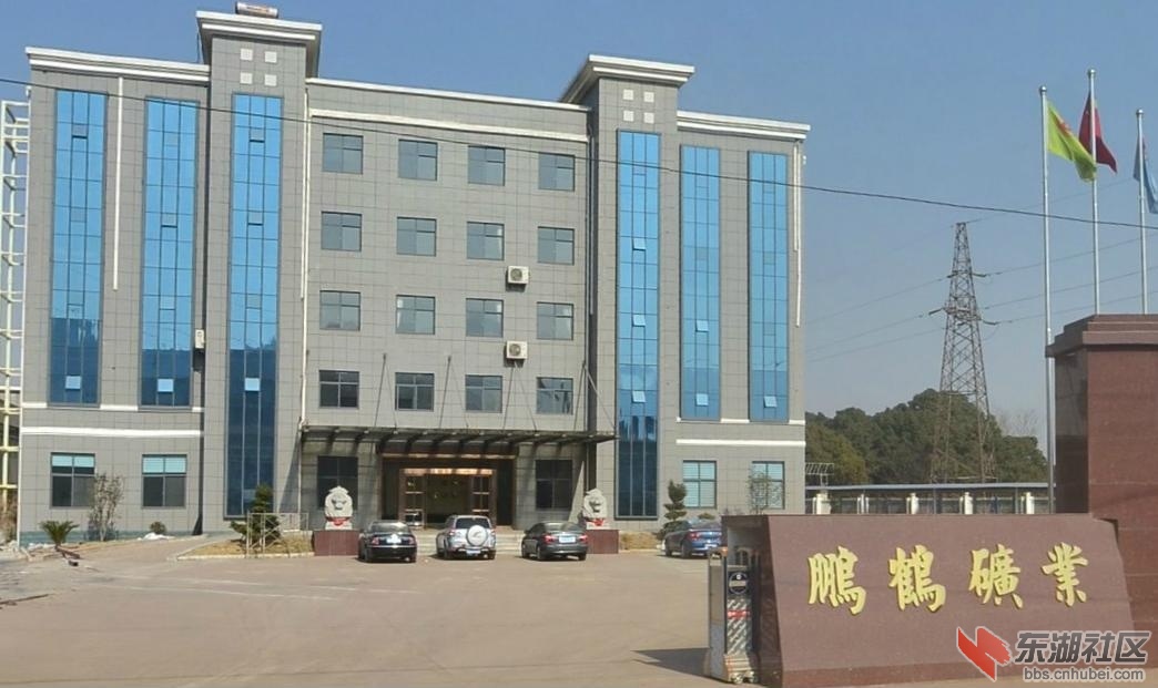 鹏鹤矿业.JPG