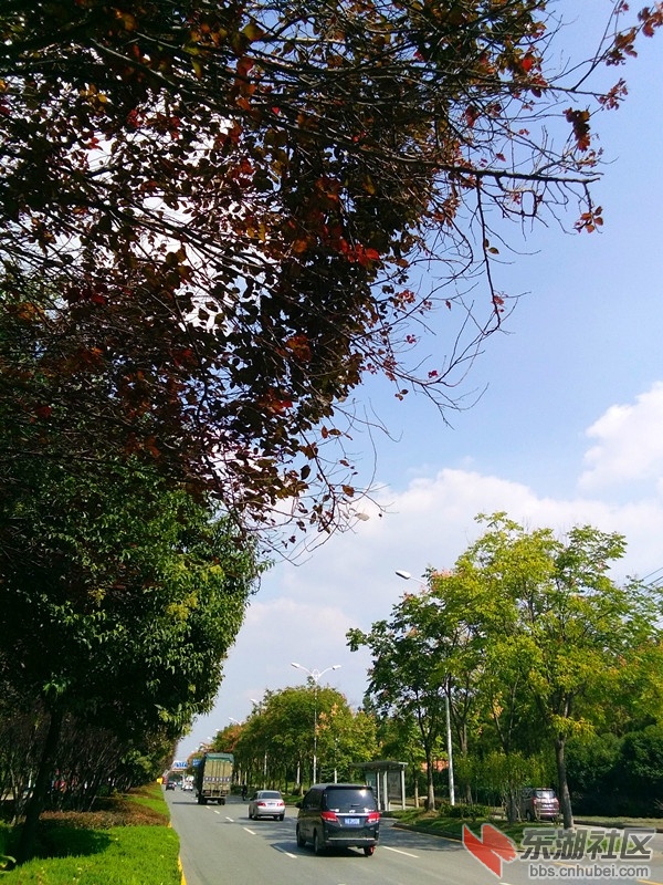 qq图片20180928163651_副本.jpg