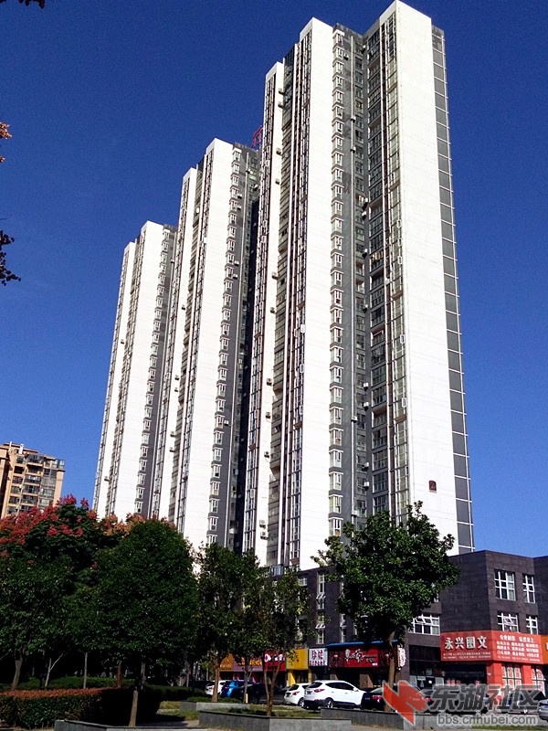 qq图片20180929150113_副本.jpg