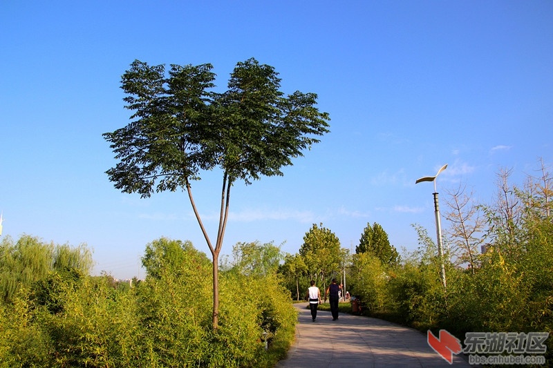 IMG_9324_看图王_副本.jpg