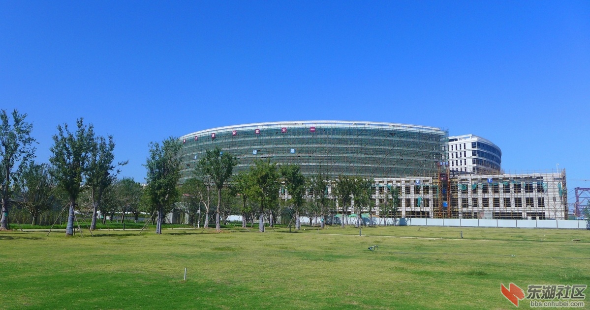 103.jpg