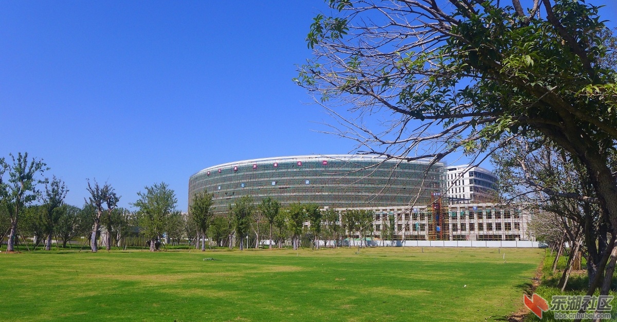 105.jpg