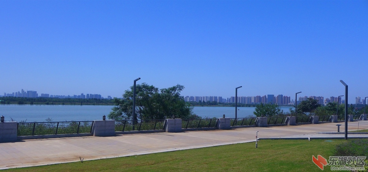 110.jpg