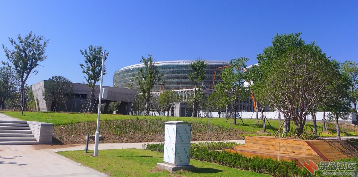 116.jpg