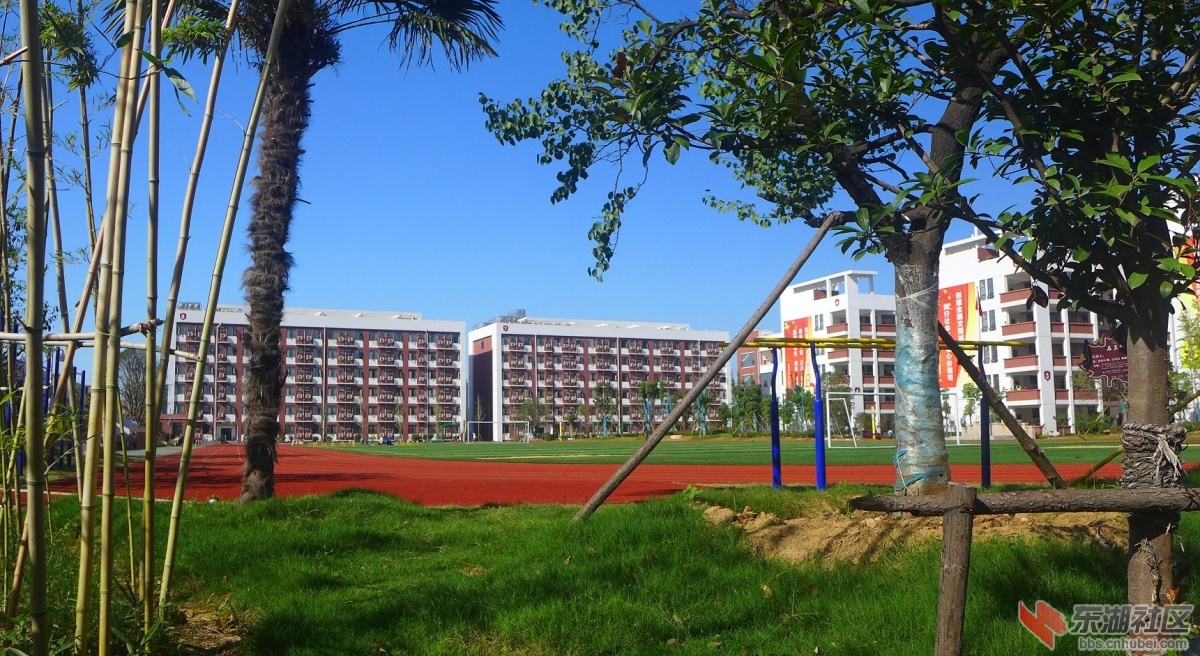 135.jpg