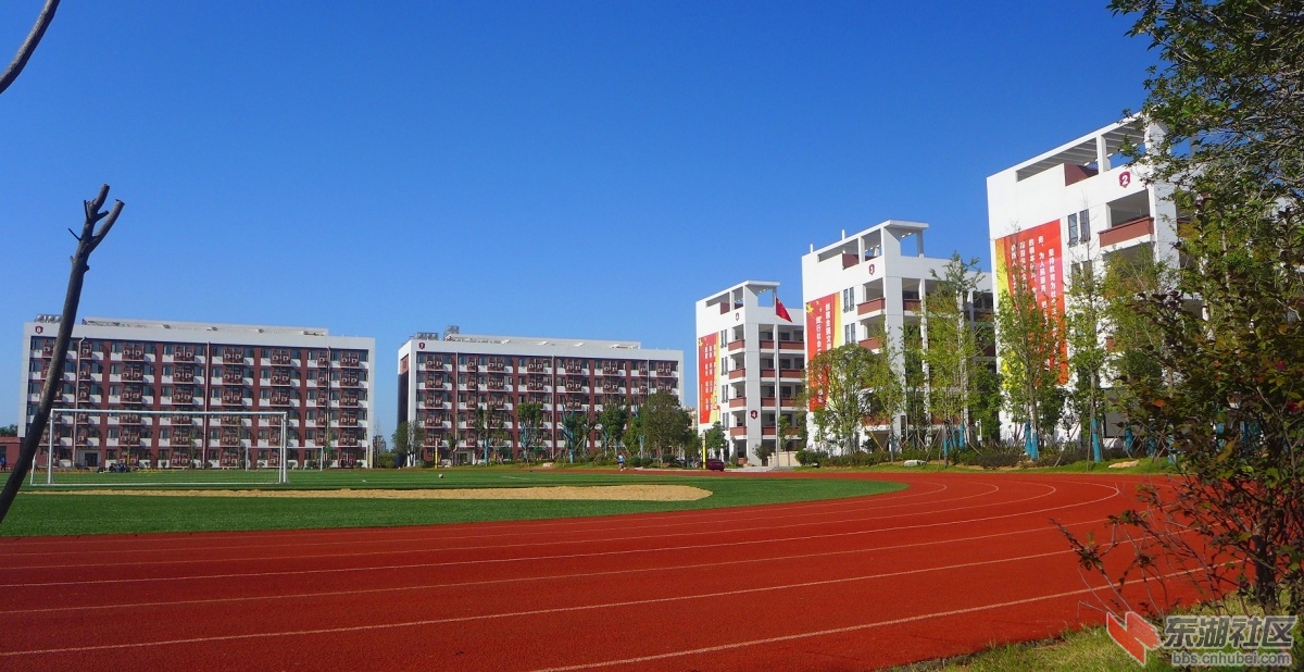 136.jpg