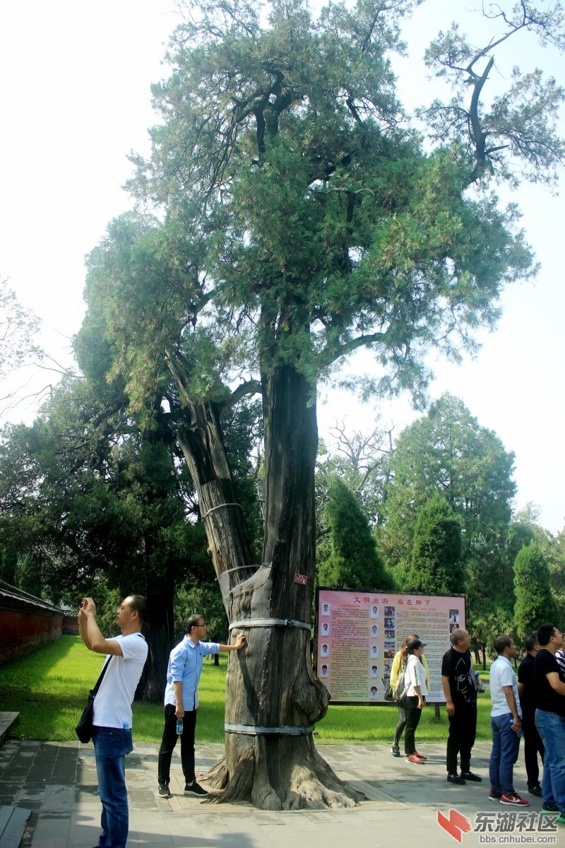 psb (13).jpg