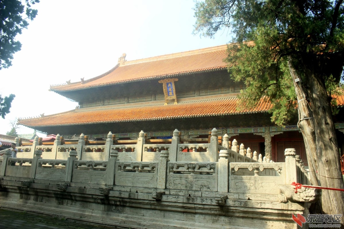 psb (21).jpg