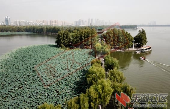 DJI_0009 - 副本.JPG