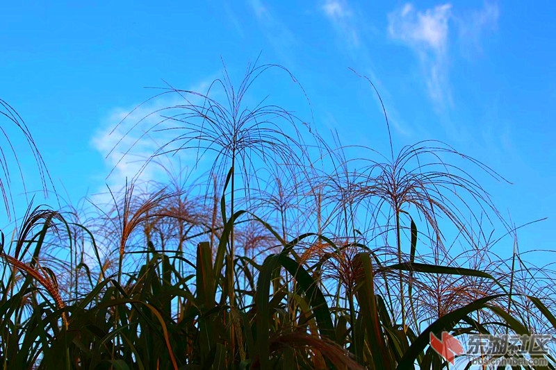 psb (2)_副本.jpg