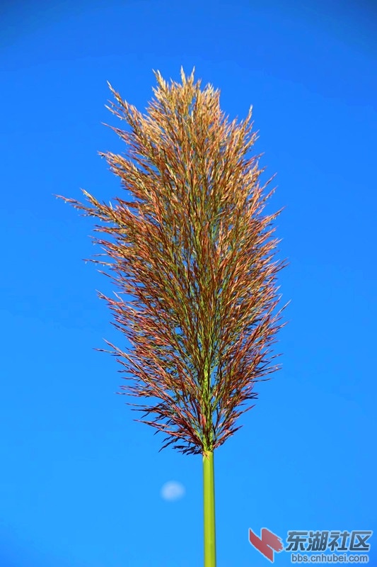 psb (5)_副本.jpg