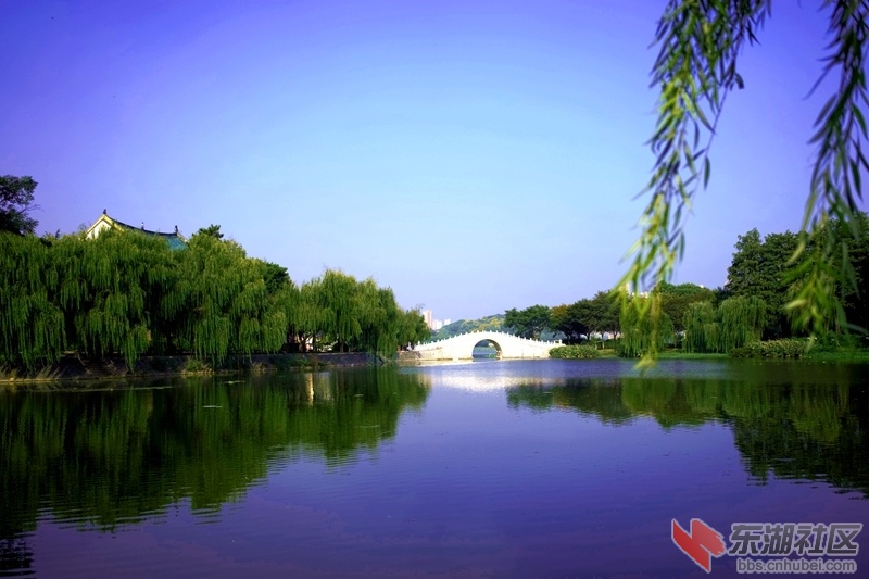 DSC01281_副本 - 副本.jpg