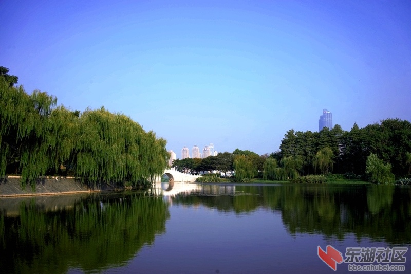 DSC01278_副本 - 副本.jpg