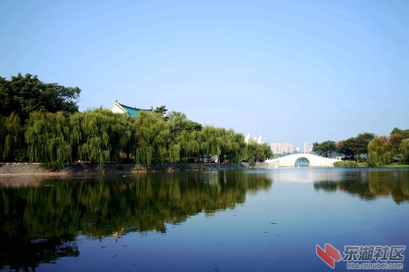 DSC01283_副本.jpg