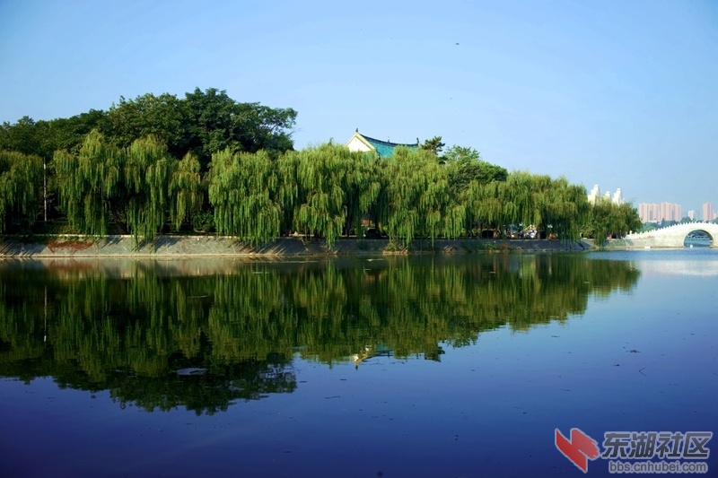 DSC01286_副本 - 副本.jpg