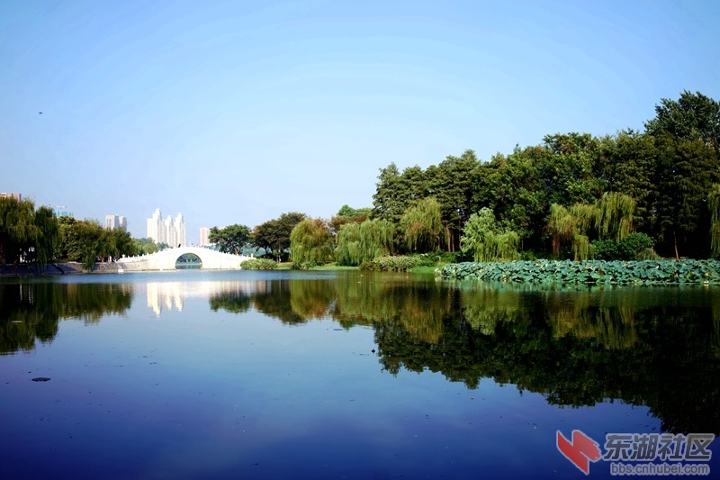 DSC01287_副本.jpg