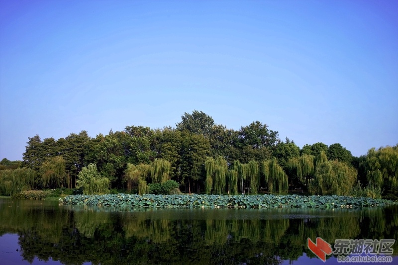 DSC01288_副本.jpg