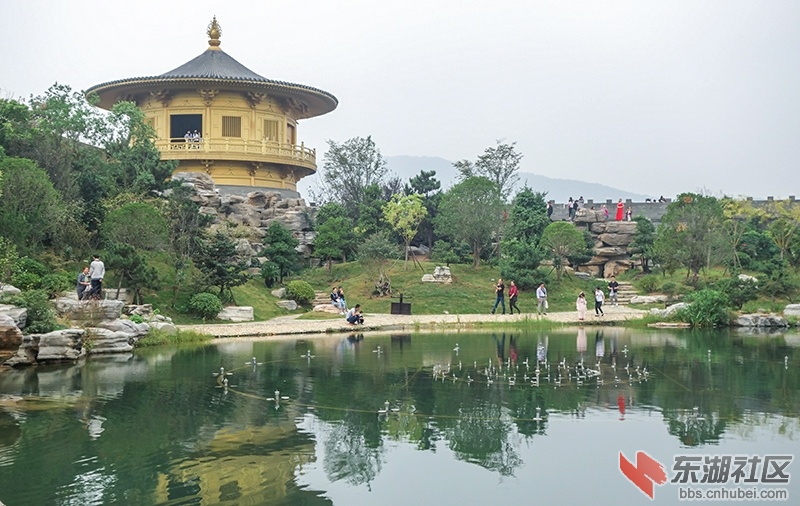 8      DSC02284_副本.jpg
