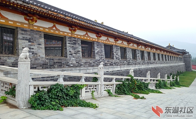 17     DSC02299_副本.jpg
