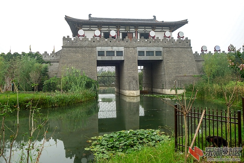 16     DSC02337_副本.jpg