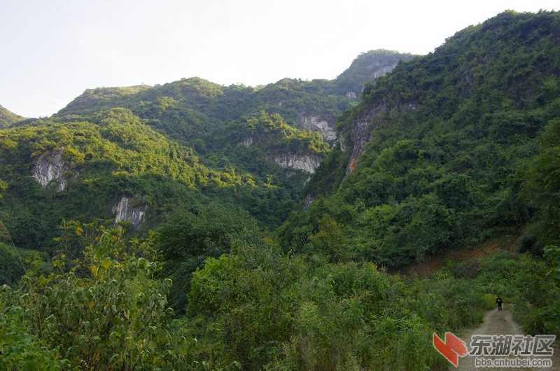_IGP1115.JPG